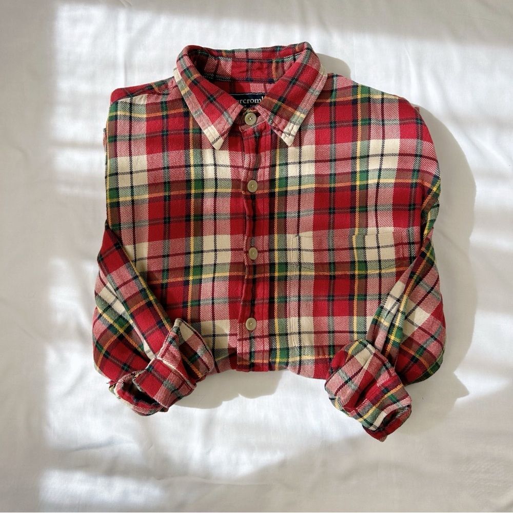 abercrombie & fitch | size large | plaid red and green flannel button up